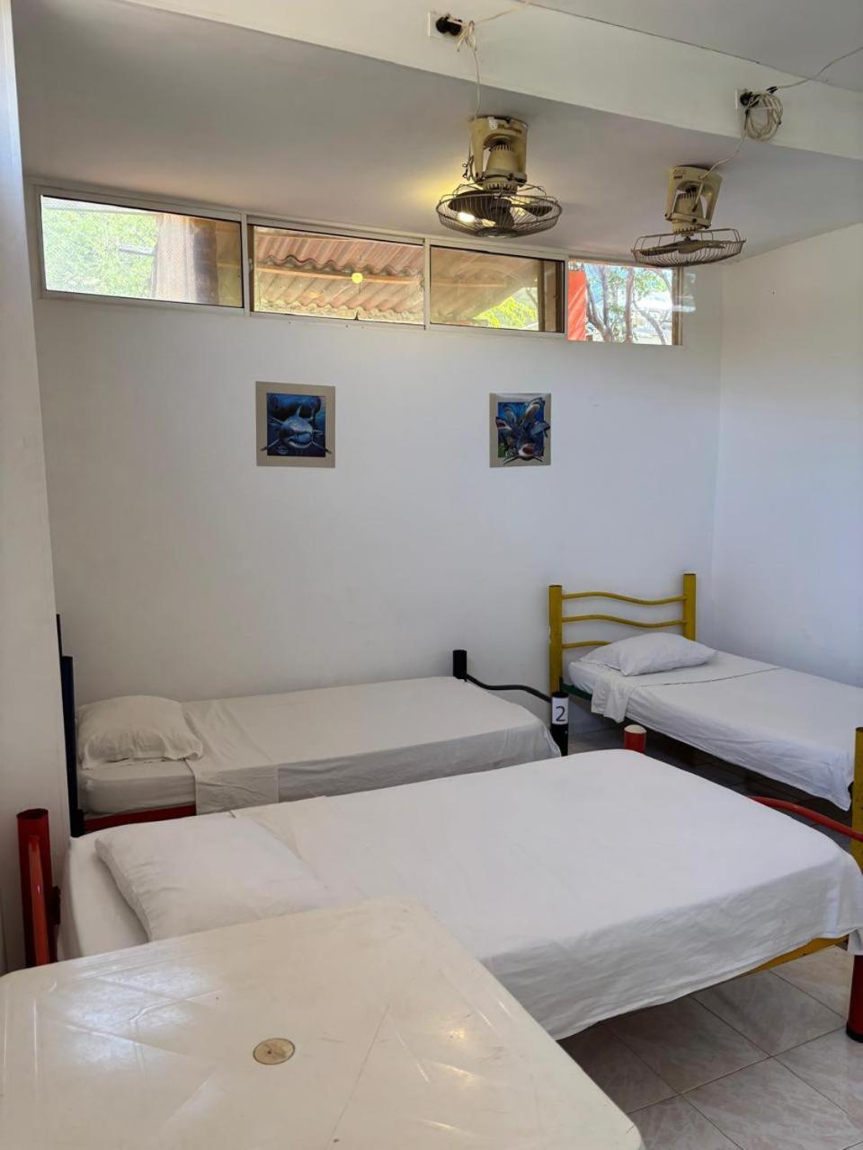 טגאנגה Sierraventura Hostel מראה חיצוני תמונה